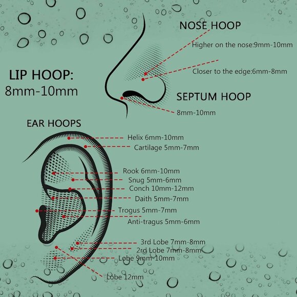 Five Pcs Stainless Steel Septum and Nose Rings Set in Multiple Colors with Hinge - Picture 6 of 7
